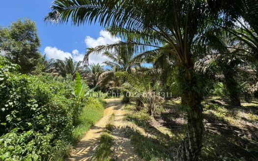 Kulai Agriculture Land For Sale (古来农业土地出售)
