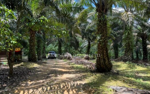 Kulai Agriculture Land For Sale (古来农业土地出售)