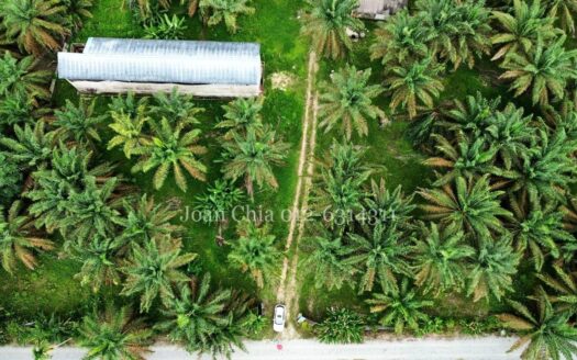 Kulai (5 Acres) Agriculture Land Batu 29 古来土地出售 29里